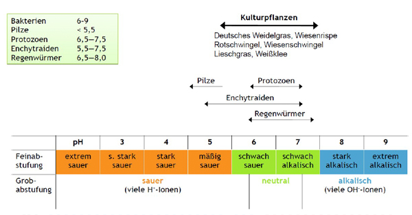 Effekte der Kalkung auf den Boden